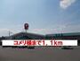 ホームセンター　コメリ様（ホームセンター）まで1100m