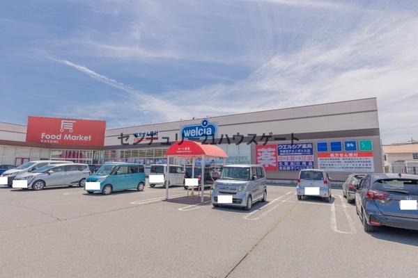 ドラックストア　ウエルシア　宇都宮テクノポリス店（ドラッグストア）まで1573m
