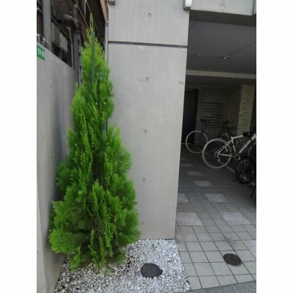 都営大江戸線 豊島園駅 徒歩8分 4階建 築22年のその他写真