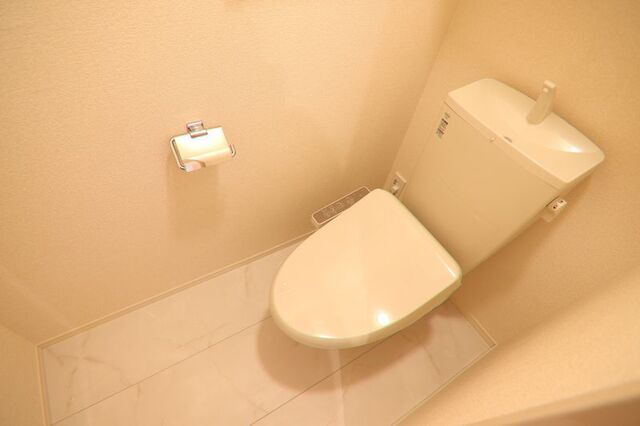 フォレストコート 保呂のトイレ写真