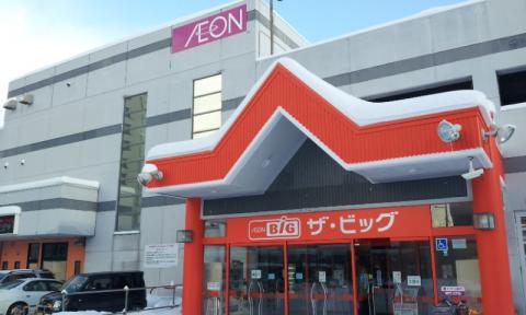 スーパー　ザ・ビッグ豊平店（スーパー）まで873m