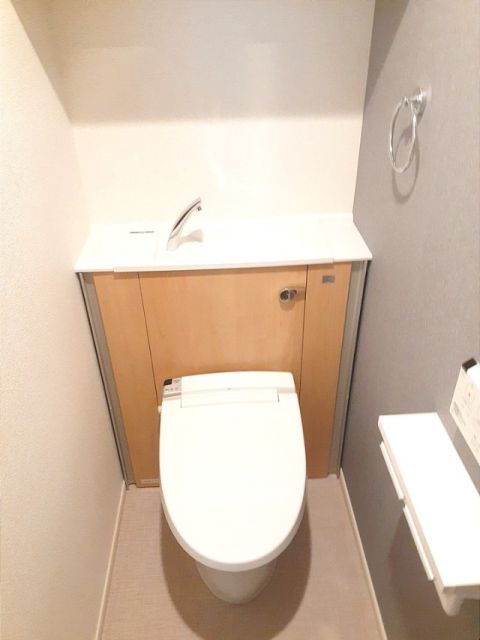 ＪＲ相模線 社家駅 徒歩17分 5階建 築3年のトイレ写真
