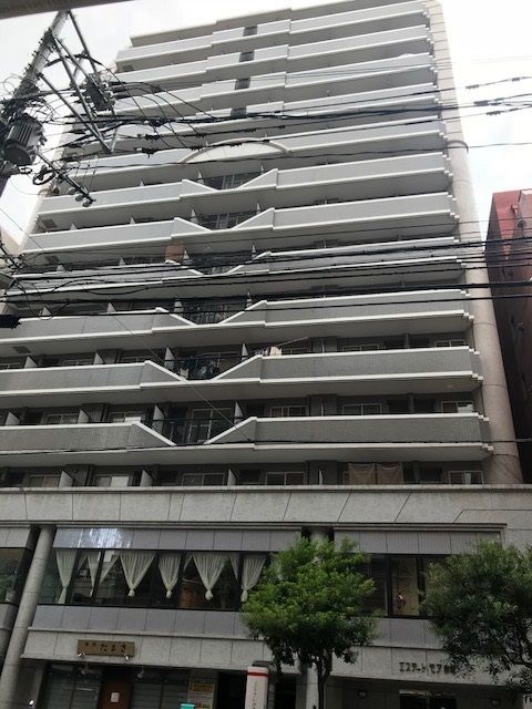 建物外観　【外観写真】けやき通り