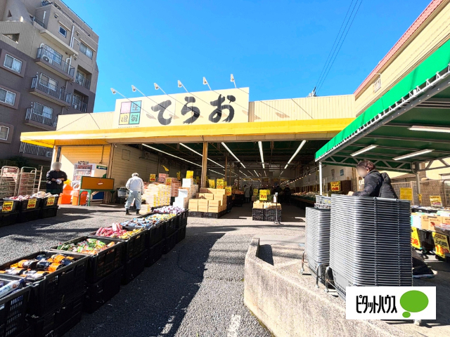スーパー　生鮮市場てらお西船橋店（スーパー）まで497m
