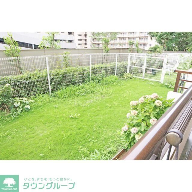 庭