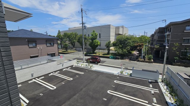 カリーノディモーラのその他写真