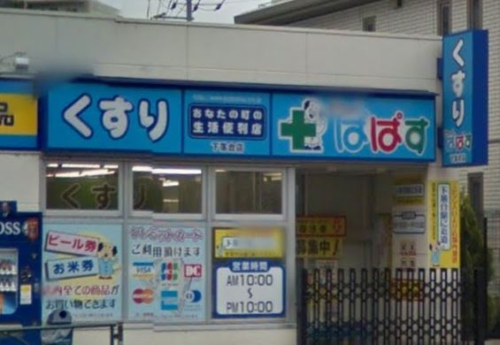 ドラックストア　どらっぐぱぱす下落合店（ドラッグストア）まで335m