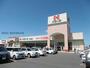 スーパー　ハローズ住吉店（スーパー）まで1148m