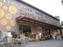 ショッピングセンター　NEWS・烏山店（ショッピングセンター）まで2546m