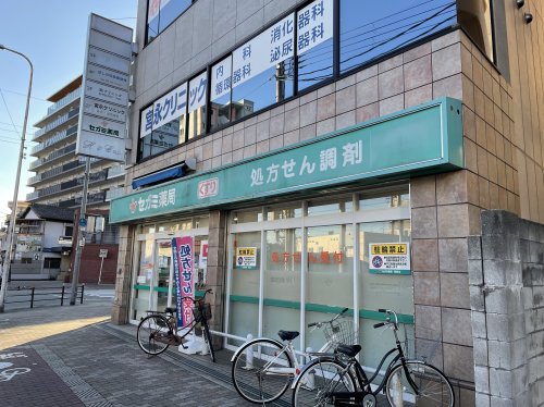 ドラックストア　セガミ薬局南巽店（ドラッグストア）まで247m