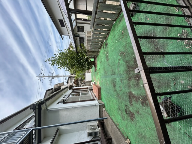 庭
