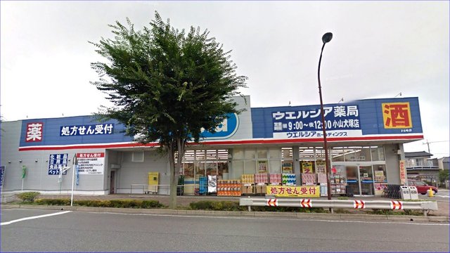 ドラックストア　ウエルシア薬局小山犬塚店（ドラッグストア）まで316m