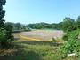 公園　入船公園（公園）まで280m
