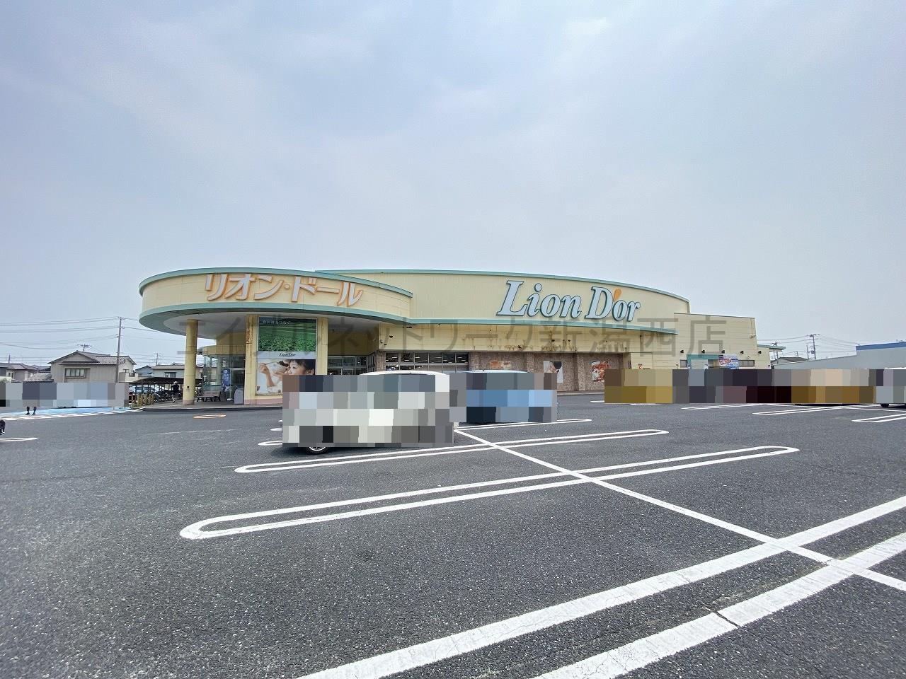 スーパー　リオン・ドール寺尾店（スーパー）まで967m