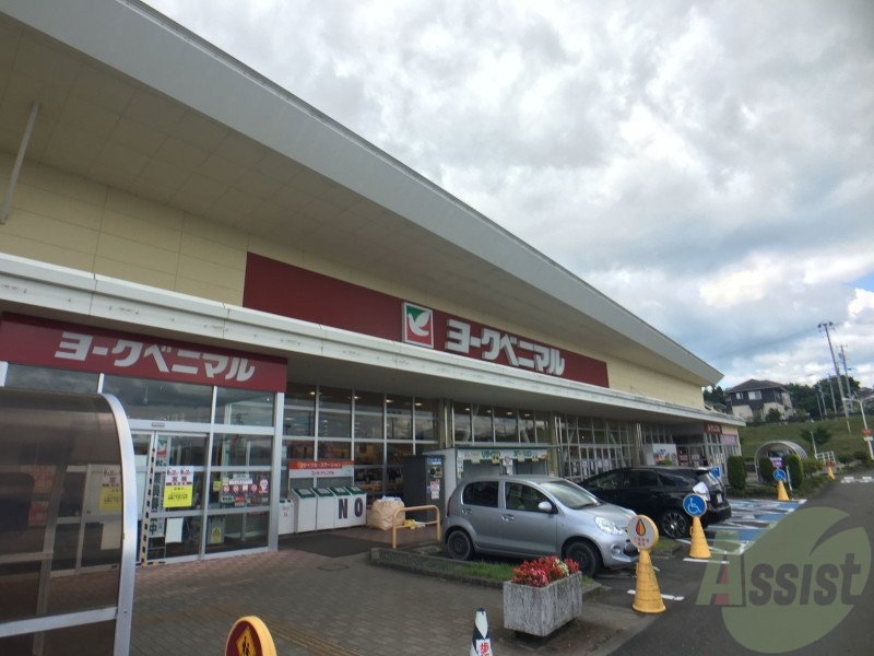 スーパー　ヨークベニマル南中山店（スーパー）まで2166m