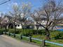 眺望　春には桜が咲きます。」