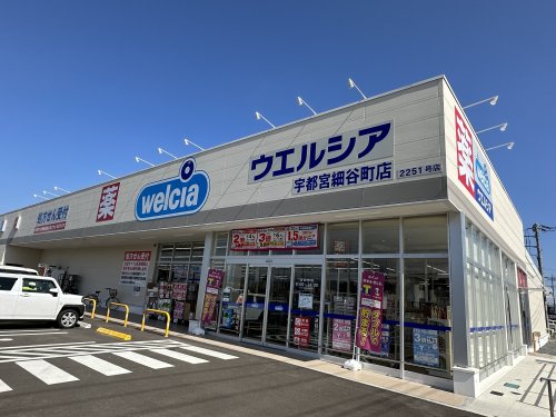 ドラックストア　ウェルシア宇都宮細谷町店（ドラッグストア）まで1013m