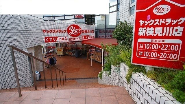 ドラックストア　ヤックスドラッグ（ドラッグストア）まで1100m