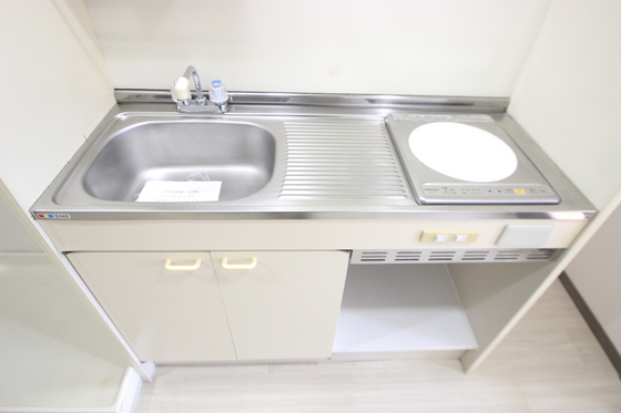 キッチン　※別号室の写真です