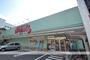 ドラックストア　ウォンツ白島店（ドラッグストア）まで1324m