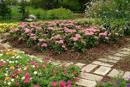 公園　瑞ケ丘公園（公園）まで896m