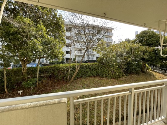 眺望　※別部屋の写真です