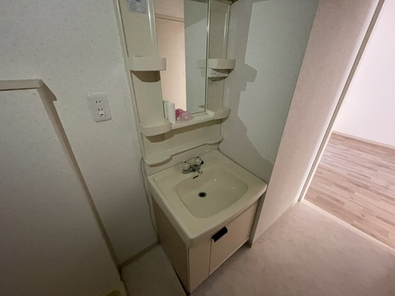 洗面設備　※別部屋の写真です