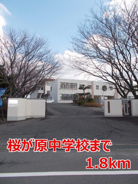 中学校　桜が原中学校（中学校）まで1800m
