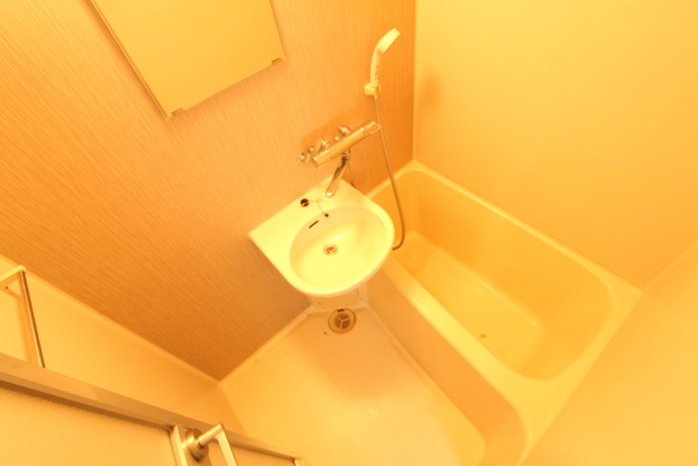 バス・シャワールーム　反転タイプ別室参考写真※現状優先