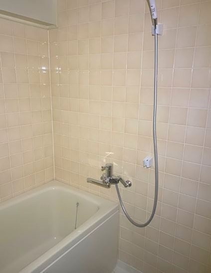 バス・シャワールーム　※同仕様写真含む