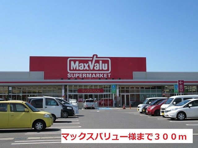スーパー　マックスバリュー様（スーパー）まで300m
