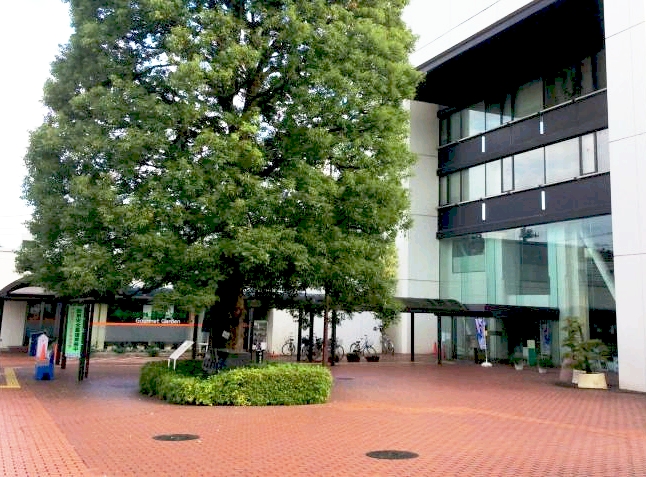 大学・短大　私立東京経済大学武蔵村山キャンパス（大学・短大）まで1365m