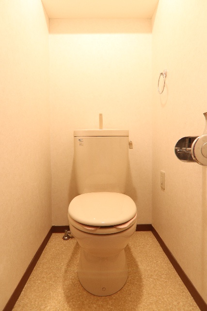 トイレ　※別号室の参考写真です