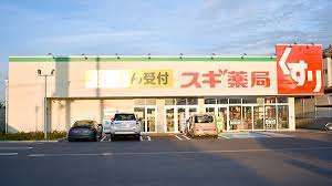 ドラックストア　スギ薬局野田下町店（ドラッグストア）まで571m