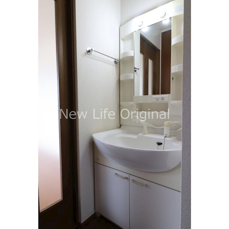 洗面設備　シャワー付き洗面台で忙しい朝でも楽に身支度が出来ます。