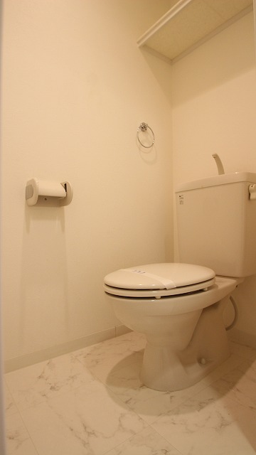 トイレ　同物件、別号室のものです。