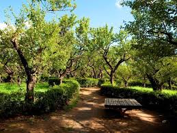 公園　羽根木小緑地（公園）まで437m