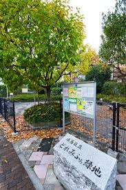 公園　どれみふぁ緑地（公園）まで374m