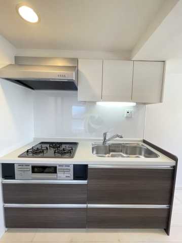 キッチン　菱和パレス滝野川CDI