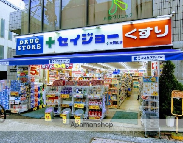 ドラックストア　セイジョー大岡山店（ドラッグストア）まで265m