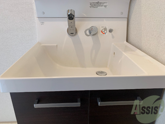 洗面設備　独立洗面台も付いております。シャワーヘッド付きです。