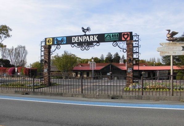 公園　デンパーク（公園）まで1100m