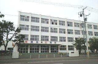 小学校　白楊小学校（小学校）まで370m