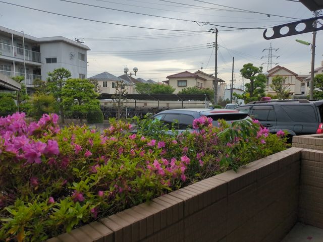眺望
