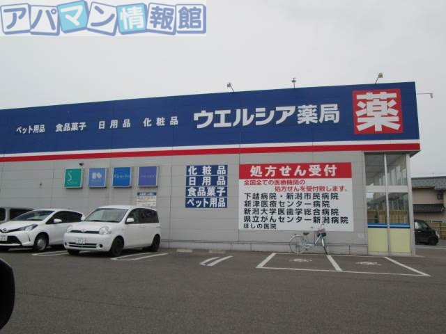 ドラックストア　ウエルシア薬局新潟さつき野店（ドラッグストア）まで726m