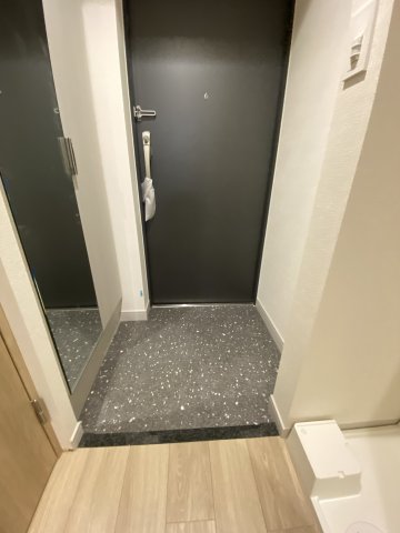 玄関　プレサンス堺筋本町エグゼブラン　玄関