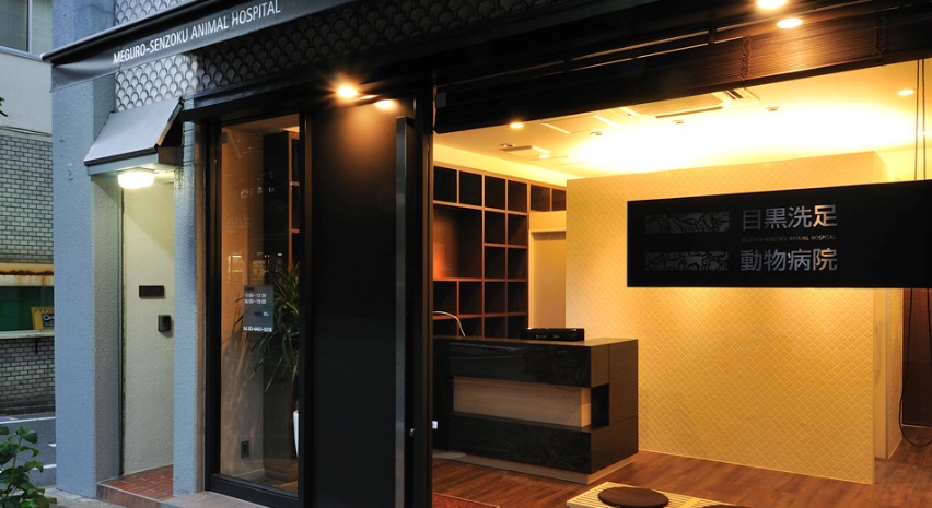 病院　洗足動物病院（病院）まで300m