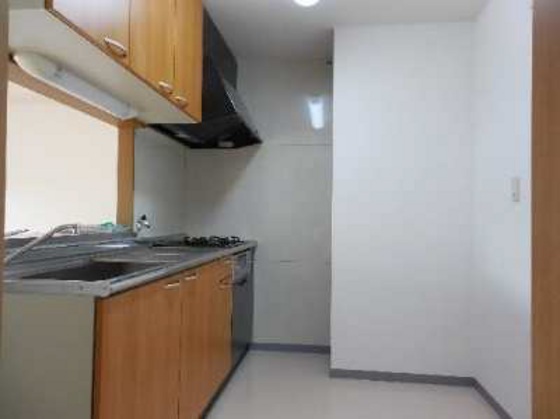 キッチン　他号室のお写真です