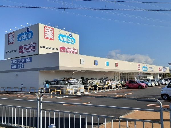 ドラックストア　ウェルシア上河端町店（ドラッグストア）まで650m