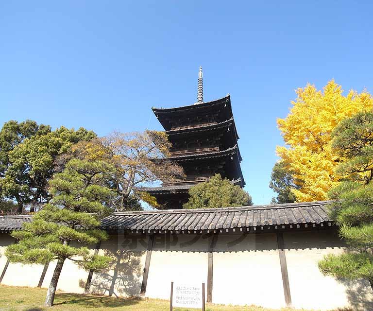 その他　東寺　教王護国寺（その他）まで126m